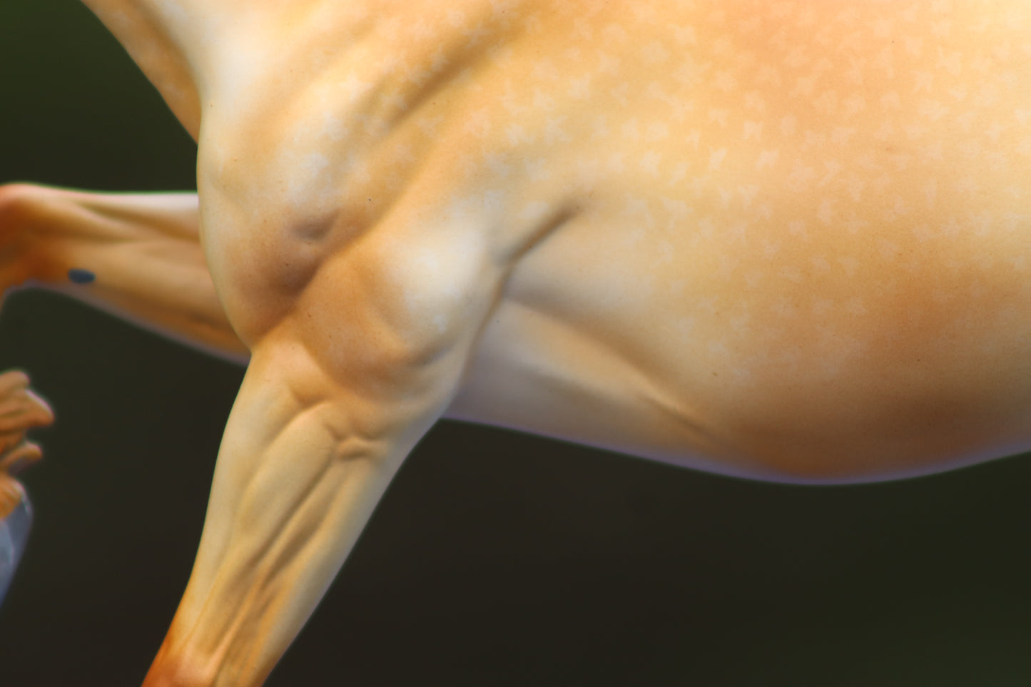 LSP Custom Breyer Welsh Cob