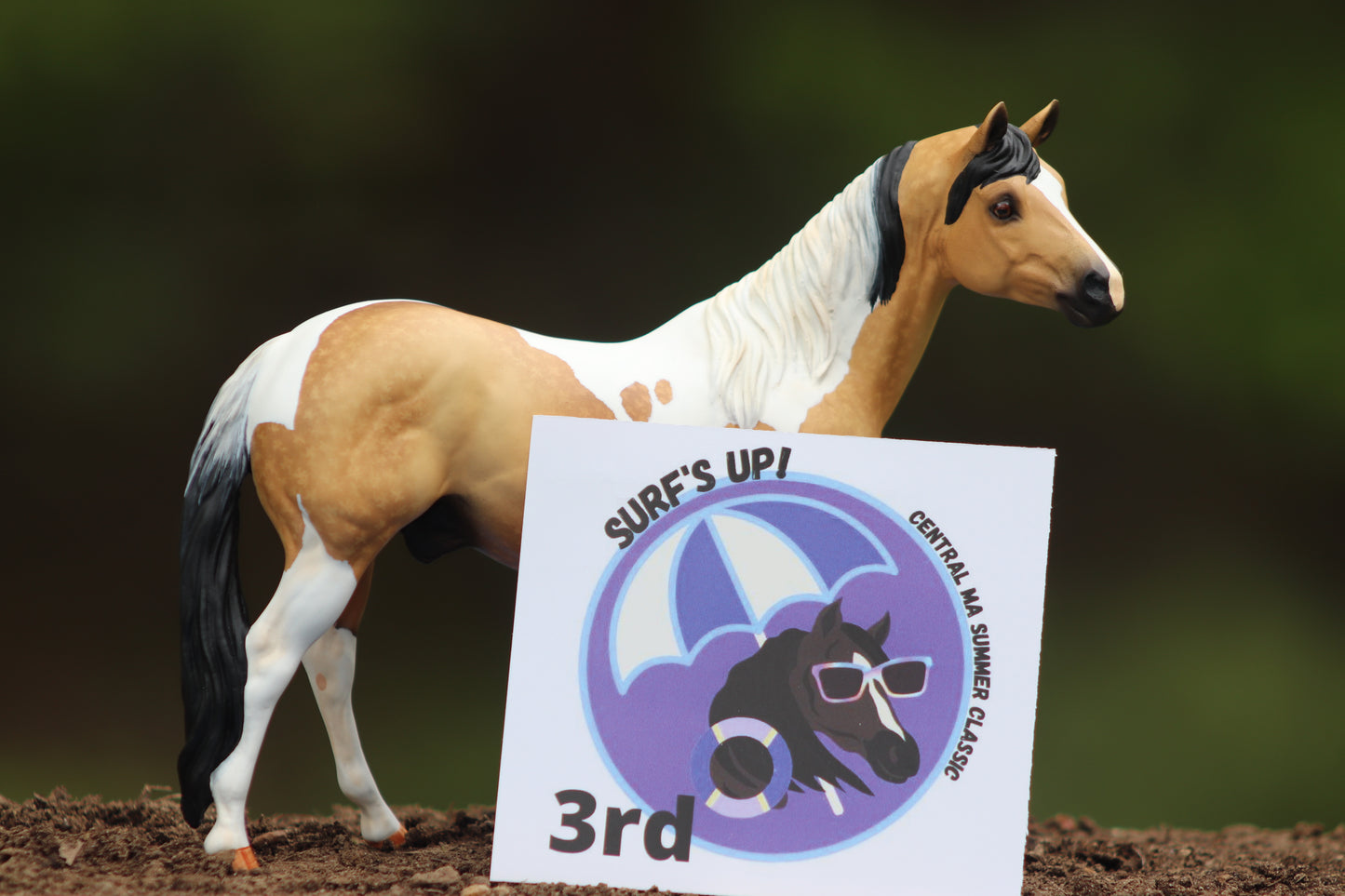 Custom Breyer Classic Stock Horse