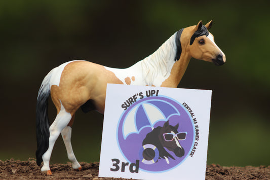 Custom Breyer Classic Stock Horse