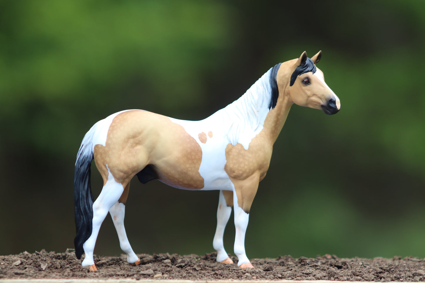 Custom Breyer Classic Stock Horse