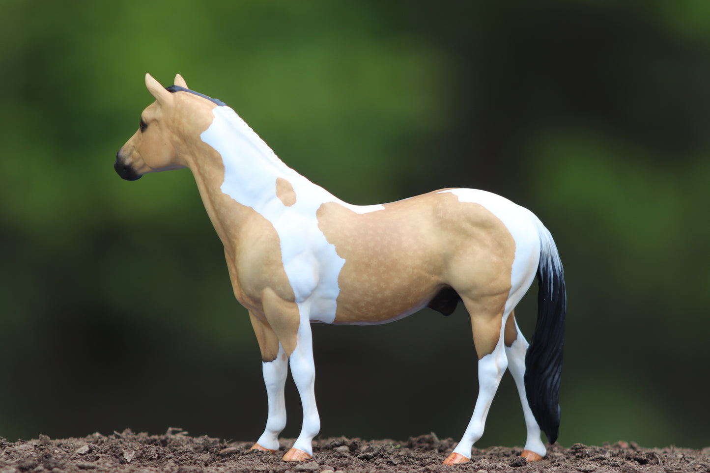 Custom Breyer Classic Stock Horse