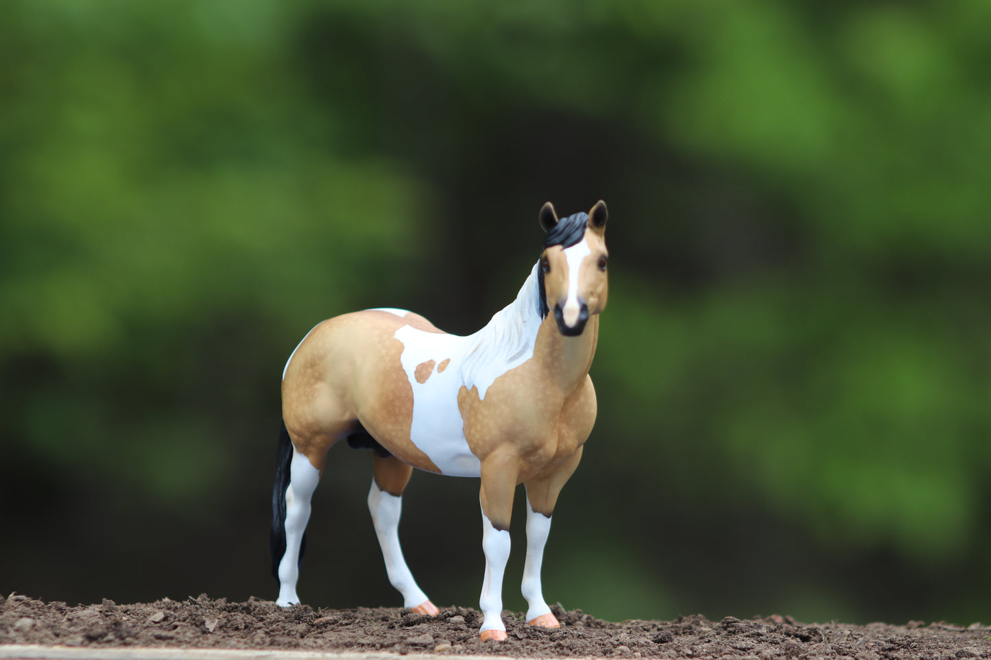 Custom Breyer Classic Stock Horse