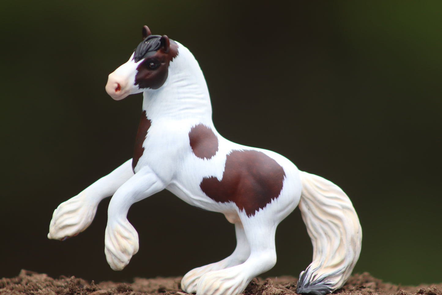 LSP Custom Breyer Vaulting Draft