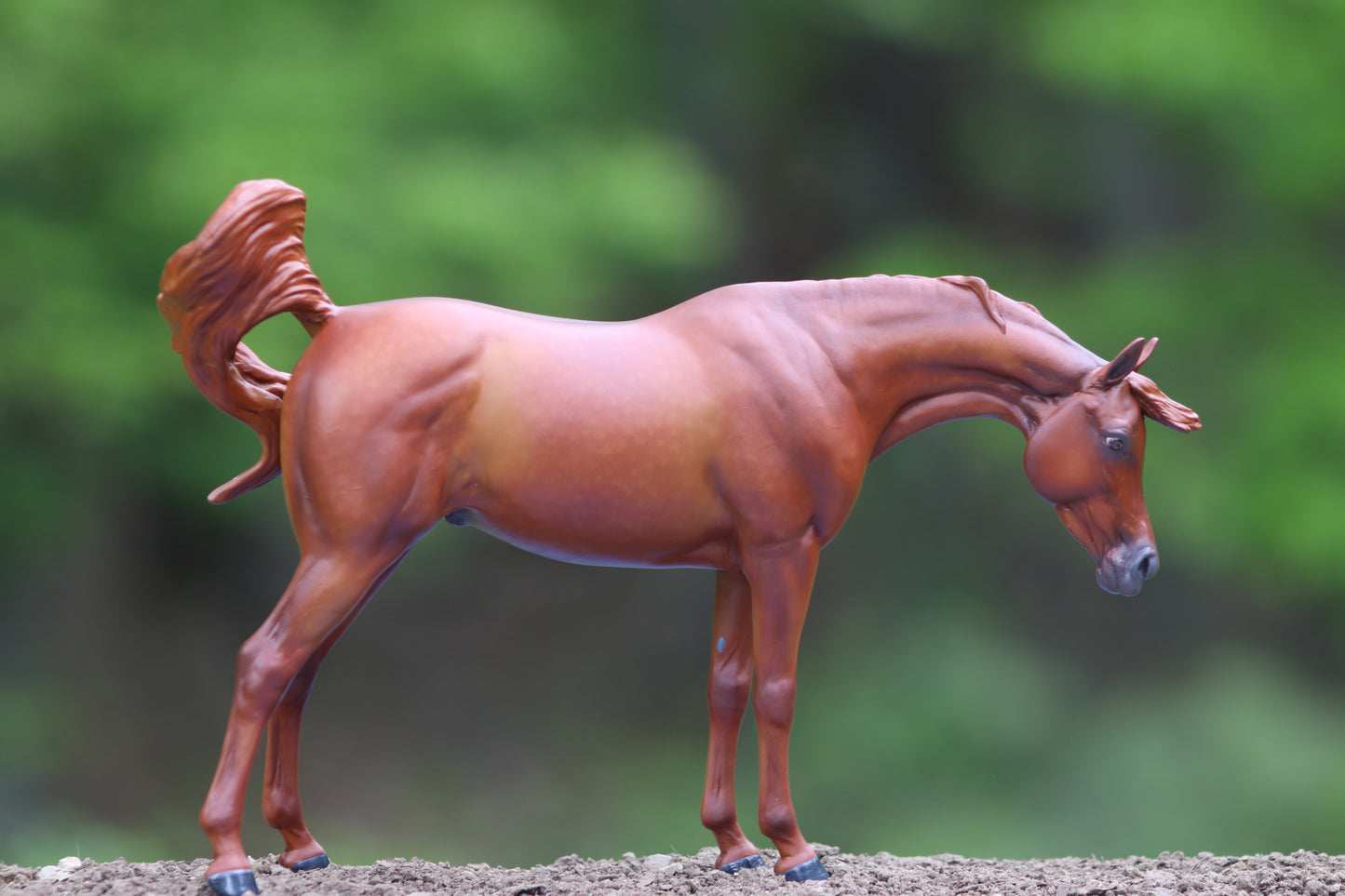 Painted Artist Resin Wycked Wynd