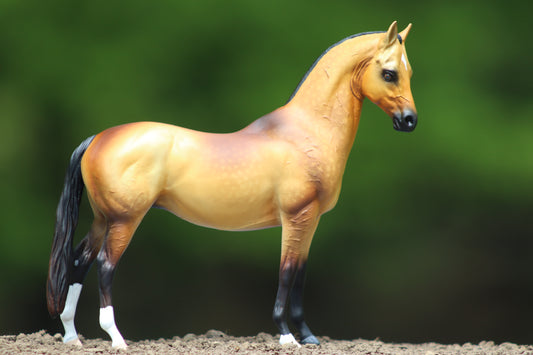 Custom Breyer Classic Akhal- Teke