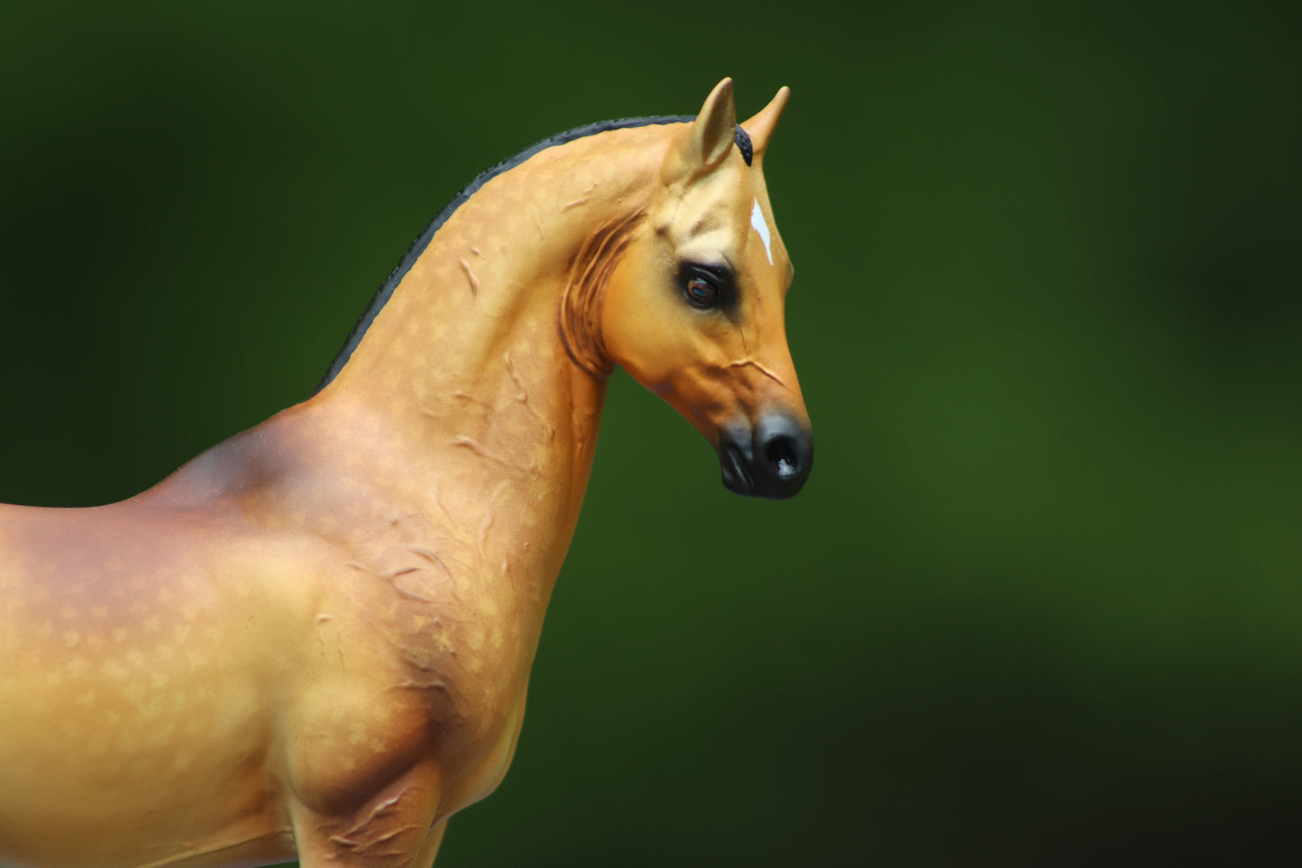Custom Breyer Classic Akhal- Teke