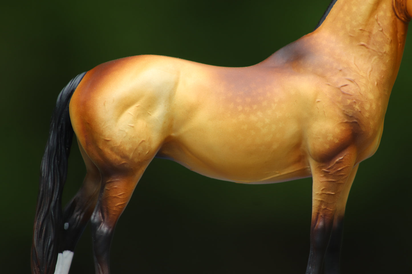 Custom Breyer Classic Akhal- Teke