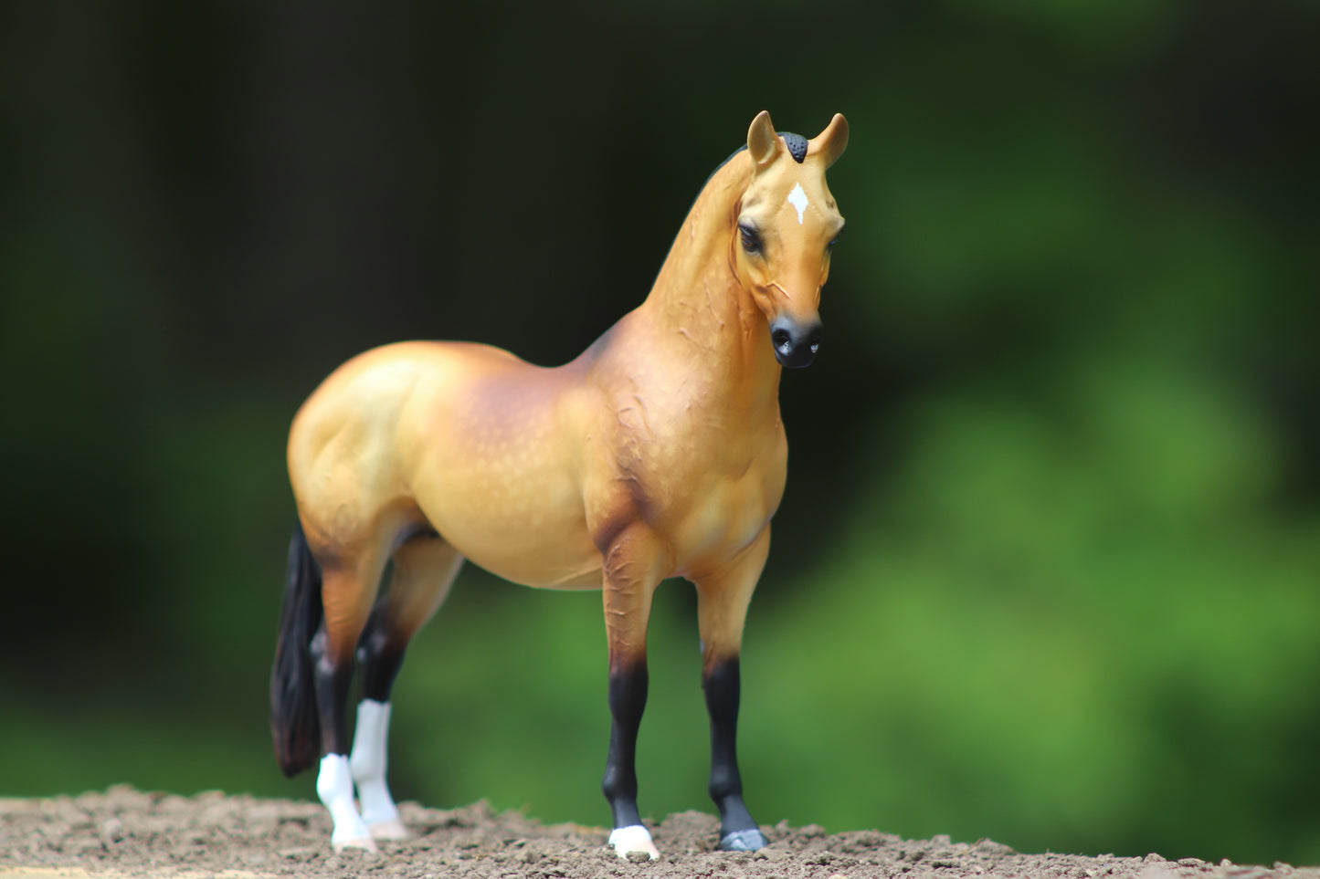 Custom Breyer Classic Akhal- Teke