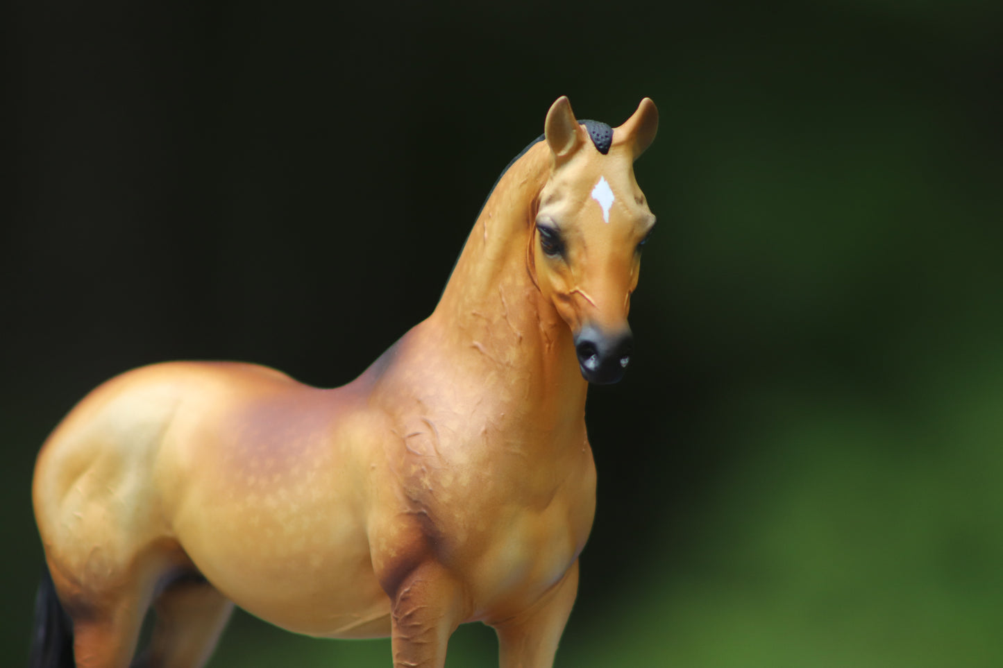 Custom Breyer Classic Akhal- Teke