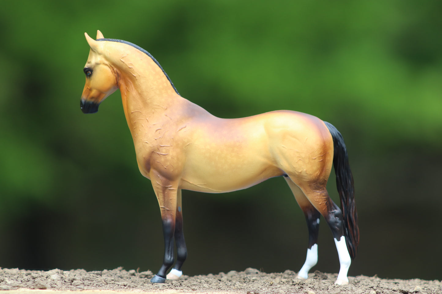 Custom Breyer Classic Akhal- Teke