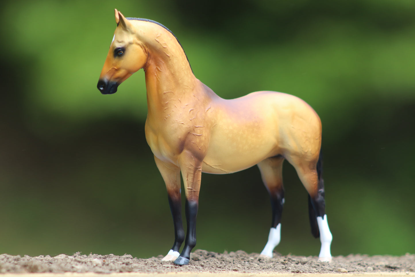Custom Breyer Classic Akhal- Teke