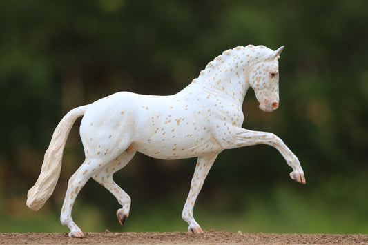 Custom Breyer Totilas