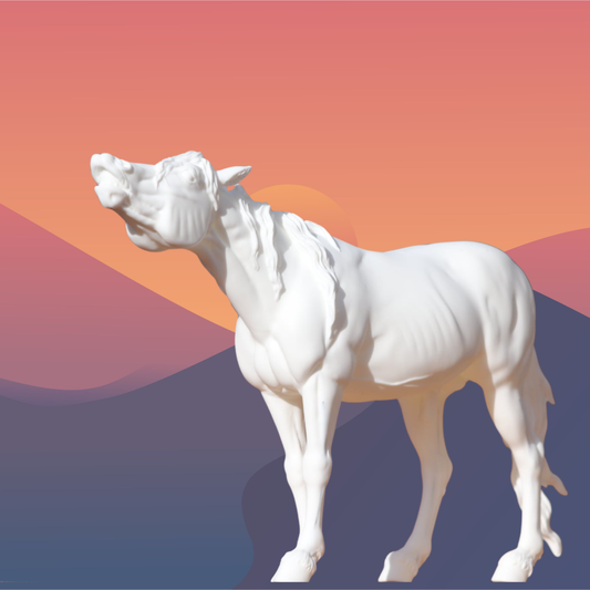 Artist Resin Casanova Traditional Scale